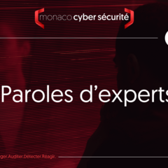 Article n°7